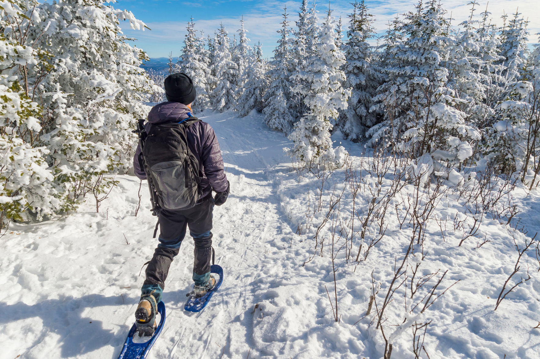 Snowshoeing